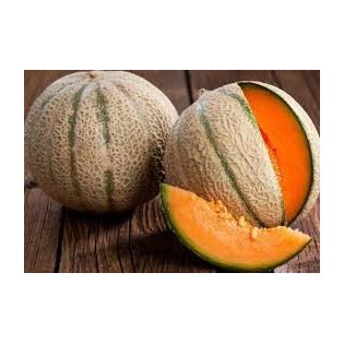 كنتلوب عرايشي