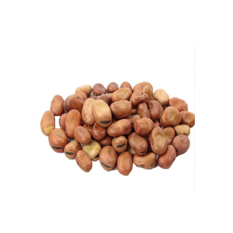 فول بلدي حصى 1 ك