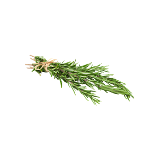 روز ماري (الحزمة)