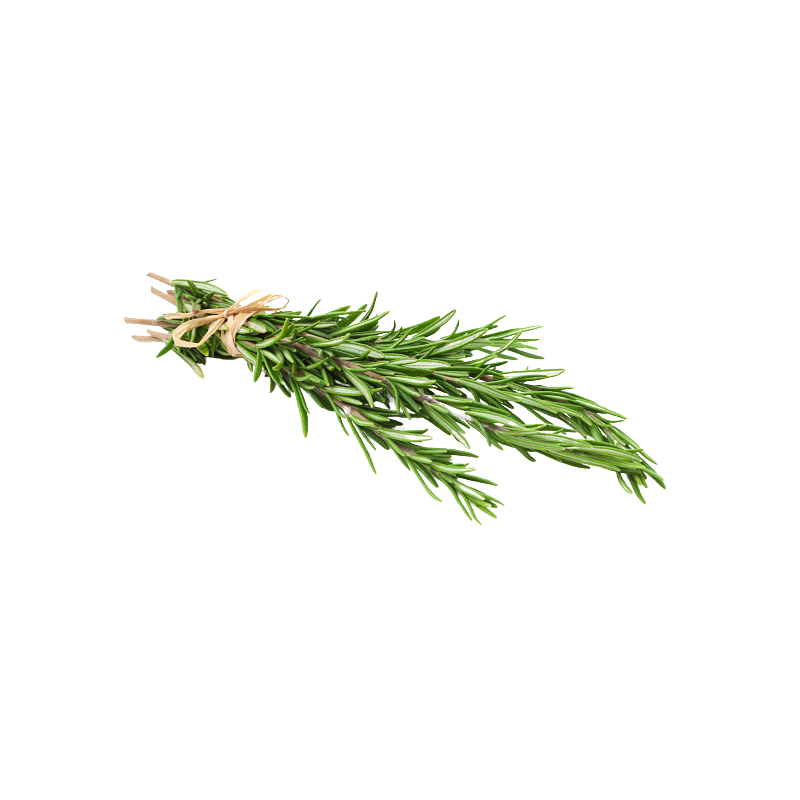 روز ماري (الحزمة)