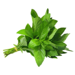 نعناع (الحزمة)