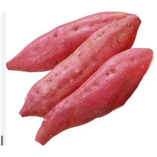 بطاطا حمراء