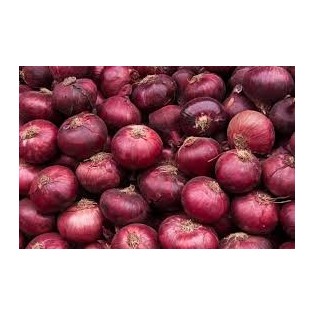 عرض بصل احمر