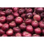 عرض بصل احمر