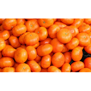 عرض كلمنتينا