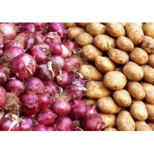 عرض النواشف