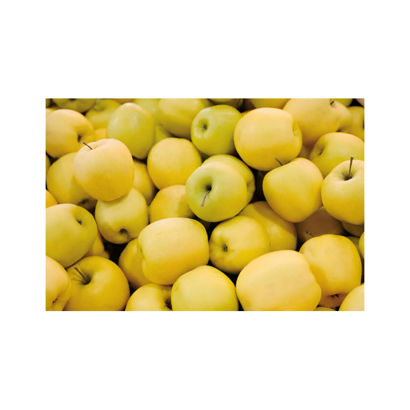 عرض التفاح الاصفر