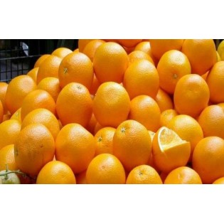 عرض البرتقال