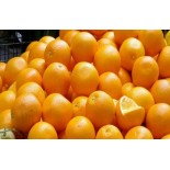 عرض البرتقال