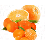 عرض فاكهة الشتاء