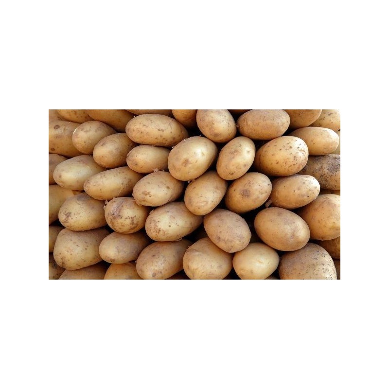 بطاطس تايسون تحمير