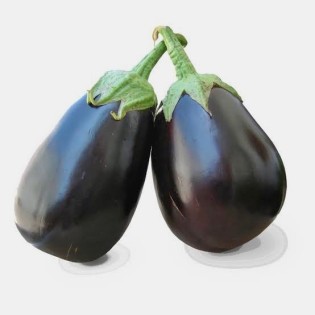 باذنجان رومي