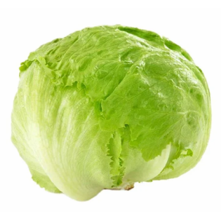 خس كابوتشا ممتاز