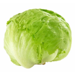 خس كابوتشا ممتاز