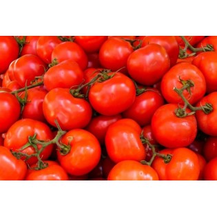 عرض الطماطم 5 ك