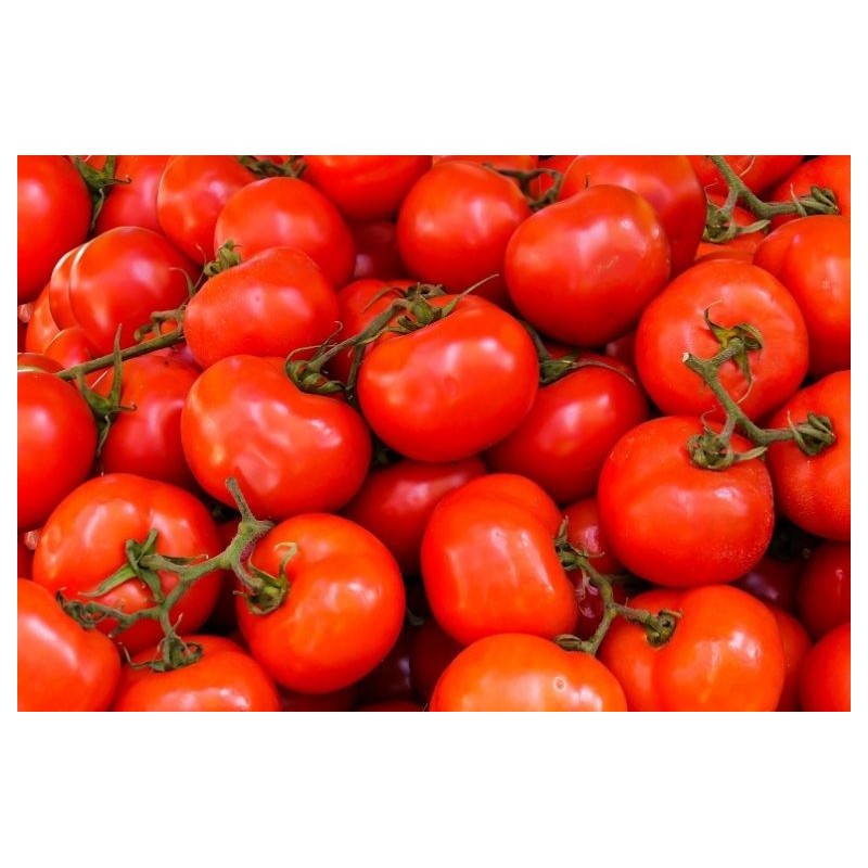 عرض الطماطم 5 ك