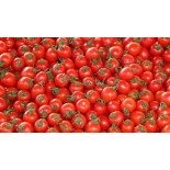 عرض الطماطم ال 20 ك