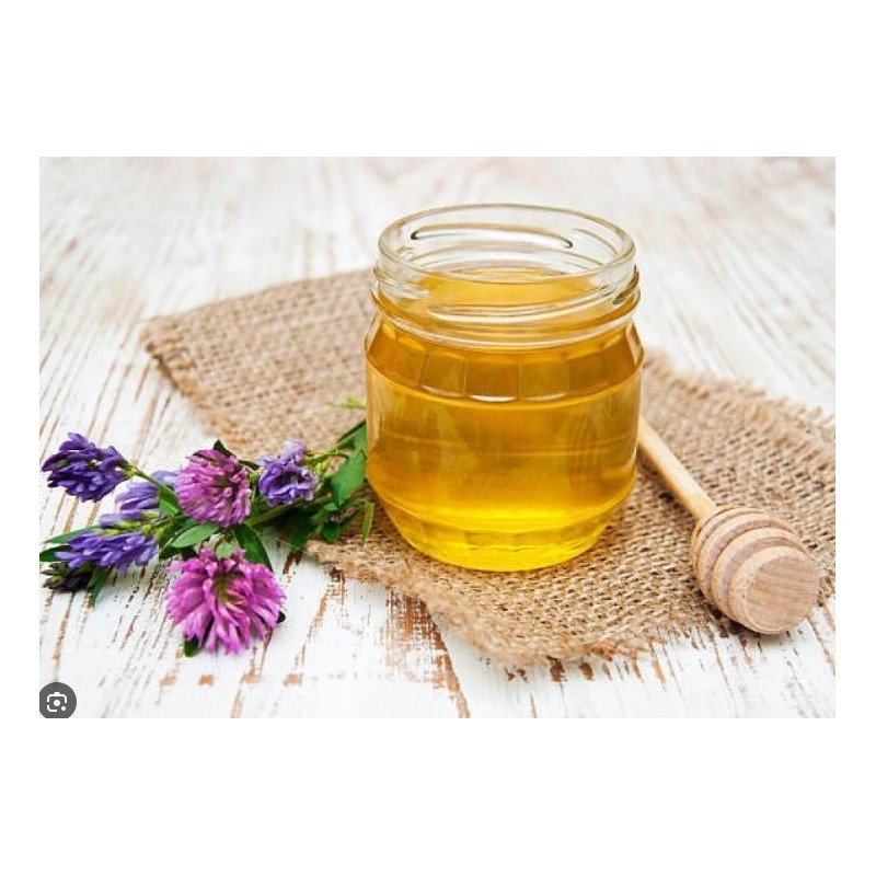 عسل زهرة البرسيم 1 ك