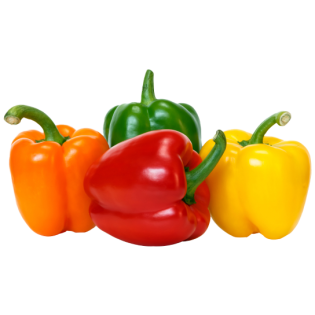 فلفل ألوان (أصفر/أحمر) ممتاز