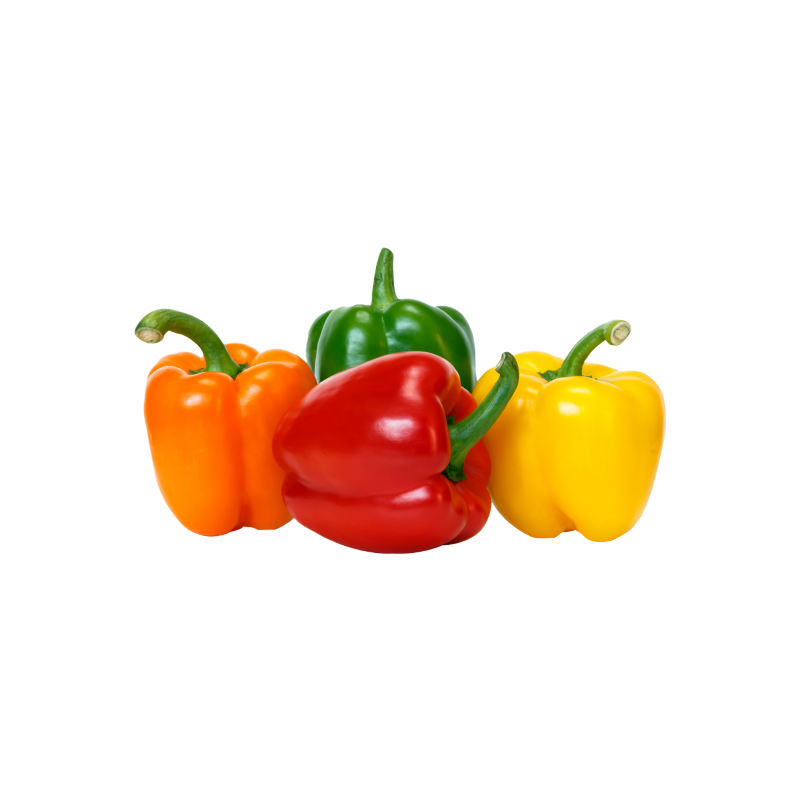 فلفل ألوان (أصفر/أحمر) ممتاز