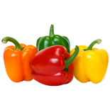 فلفل ألوان (أصفر/أحمر) ممتاز