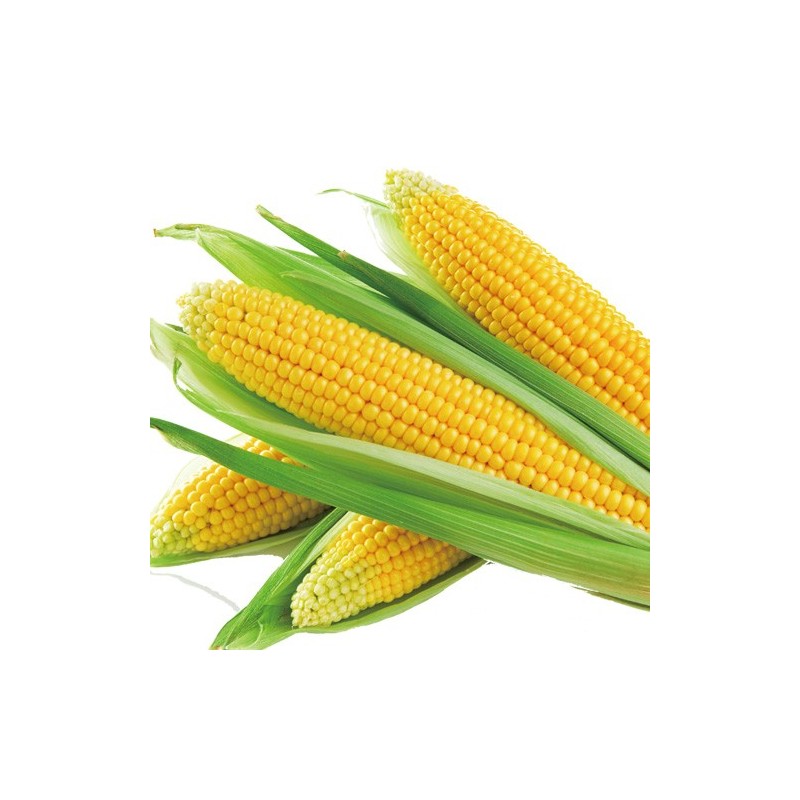 ذرة صفراء حلوه (طبق)