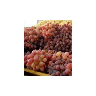 عنب جناكليس