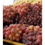 عنب جناكليس